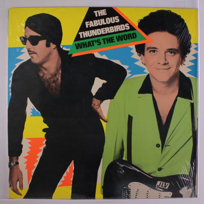 Fabulous Thunderbirds