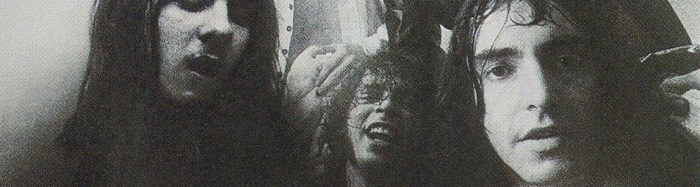 MC5-Back-In-The-USA4